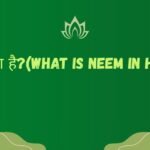 Neem ke fayde in Hindi - Neem ke patte aur tel