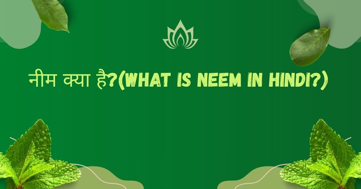Neem ke fayde in Hindi - Neem ke patte aur tel