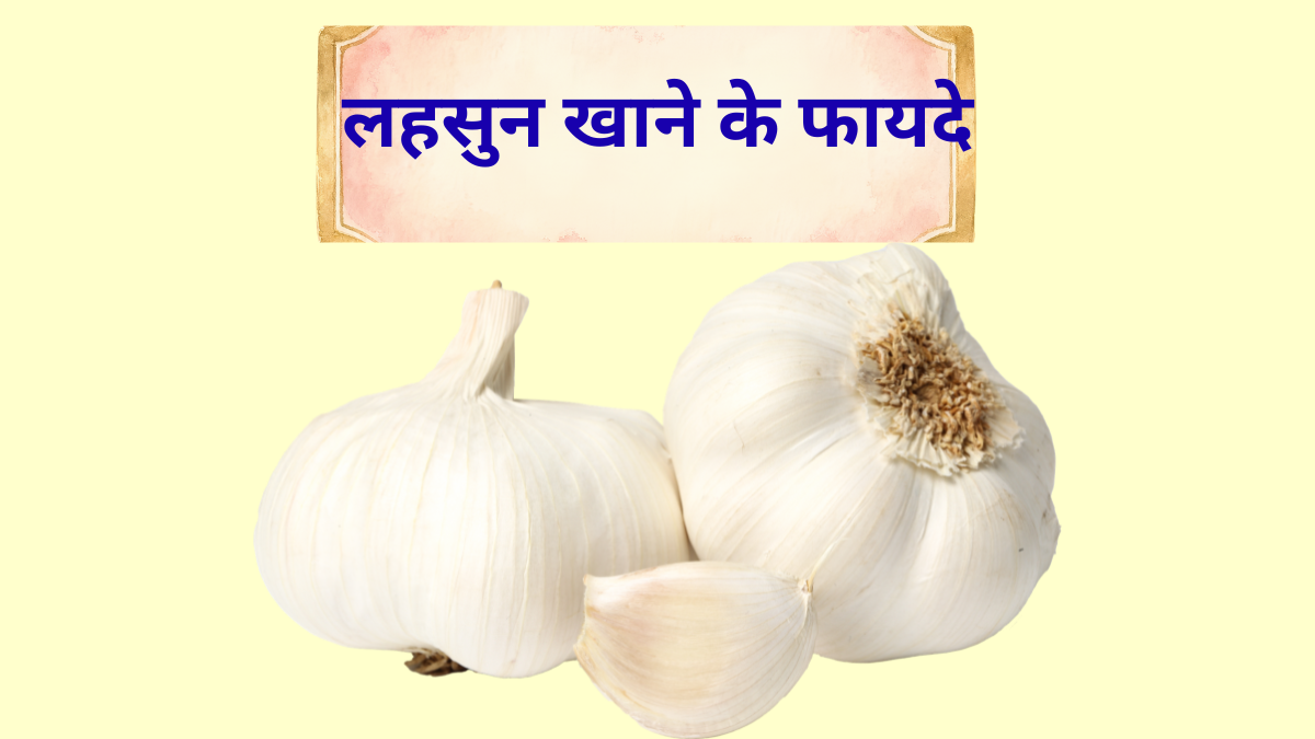 lahusun khane ke fayde with details